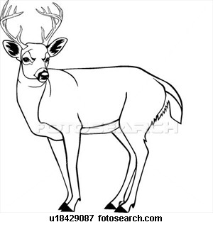 Deer Coloring Pages on 118